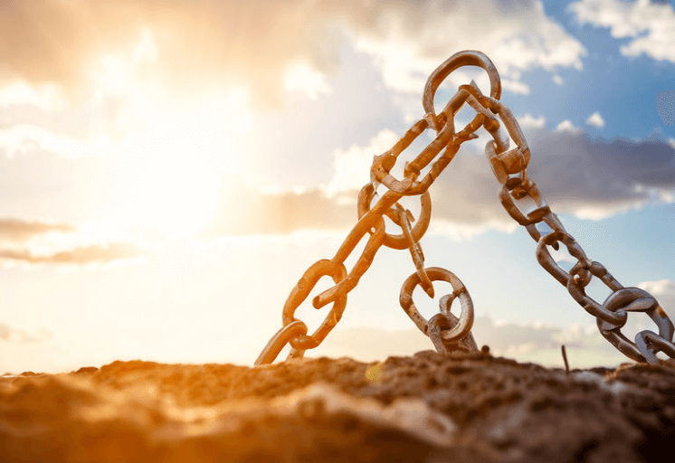 Why Choose Our Link Building Services?